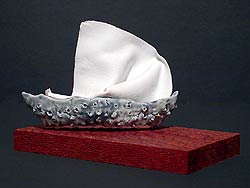 Momentary Fleets #21, Copyright 2003, Maru Hoeber -- Click to Expand...