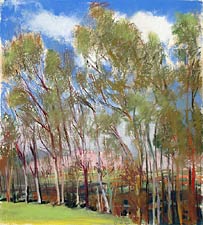 Eucalyptus and Almonds #4, Copyright 2006, Diana Jahns Childress -- Click to Expand...