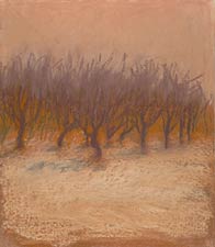 Glow, Copyright 2006, Diana Jahns Childress -- Click to Expand...