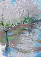 In Spite of Winter, Copyright 2006, Diana Jahns Childress -- Click to Expand...