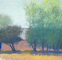 Near the Barn, Copyright 2005, Diana Jahns Childress -- Click to Expand...
