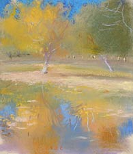 Orchard Reflection, Copyright 2006, Diana Jahns Childress -- Click to Expand...