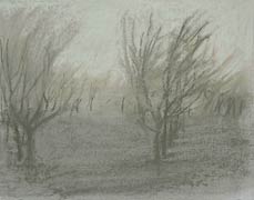Tule Orchard #2, Copyright 2006, Diana Jahns Childress -- Click to Expand...