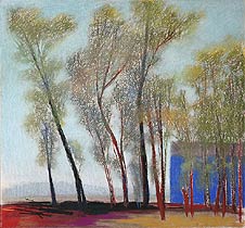 Light through Trees #7, Copyright 2005, Diana Jahns Childress -- Click to Expand...
