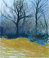 Creek Walk #1, Copyright 2007, Diana Jahns Childress -- Click to Expand...