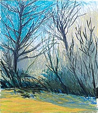 Creek Walk #2, Copyright 2007, Diana Jahns Childress -- Click to Expand...