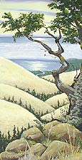Bay Laurel Heights, Copyright 2003, Bruce Keller -- Click to Expand...