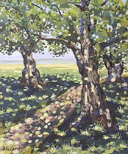 Dappled Shade, Copyright 2003, Bruce Keller -- Click to Expand...