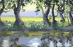 Lodi Slough 2, Copyright 2003, Bruce Keller -- Click to Expand...