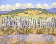 Shaded Fence II, Copyright 2004, Bruce Keller -- Click to Expand...