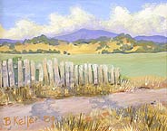 Shaded Fence IV, Copyright 2004, Bruce Keller -- Click to Expand...