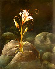 Flower Study, Copyright 2003, Myron Stephens -- Click to Expand...