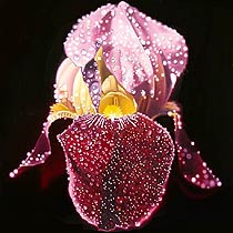 Hearts and Flower II, Copyright 2002, Ken Waterstreet -- Click to Expand...