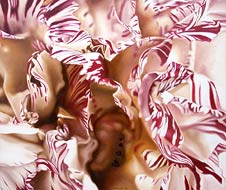 Hearts of Carnation, Copyright 2003, Ken Waterstreet -- Click to Expand...