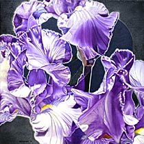 Iris III, Copyright 2002, Ken Waterstreet -- Click to Expand...