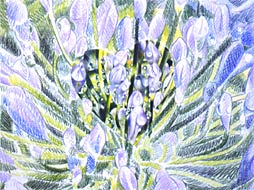 Secondary Shape, Copyright 2002, Ken Waterstreet -- Click to Expand...
